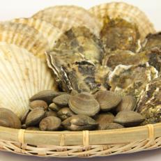 活貝づくしセット(牡蠣Lサイズ12個・貝あさり500g・貝ホタテ5枚)