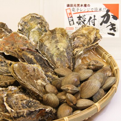 殻付き牡蠣・貝あさりセット(牡蠣Lサイズ15個・貝あさり500g)
