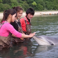 泳げなくても安心!イルカと浅瀬で遊ぼう(2名様)