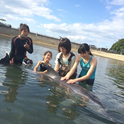 泳げなくても安心!イルカと浅瀬で遊ぼう(2名様)