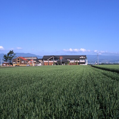 後藤純男美術館入館チケット2名様分とお食事券2,000円のセット