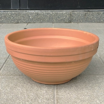 季節のお花寄せ植え(テラコッタ鉢)