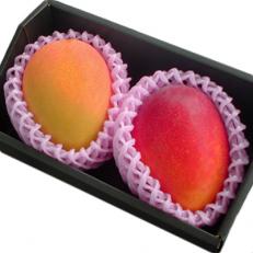 マンゴープレミアムセット(1kg)