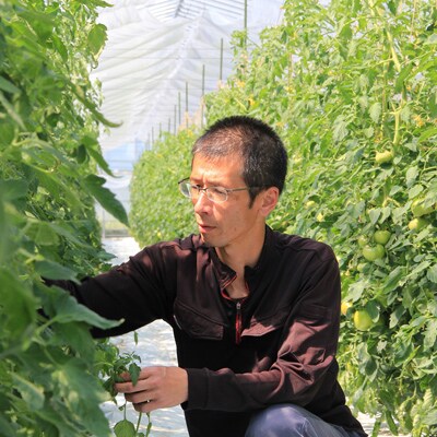 安心・安全!坪井農園　こだわりトマト【規格外品】4kg　※11月発送開始分