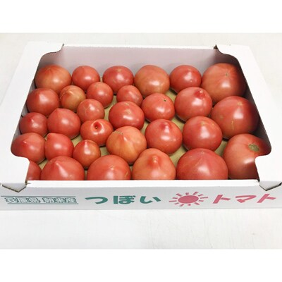 安心・安全!坪井農園 こだわりトマト【規格外品】4kg×2箱 ※11月発送開始分