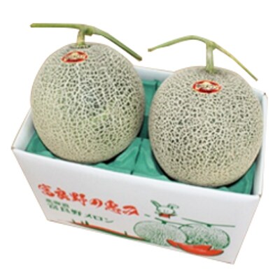 富良野赤肉メロン 2玉