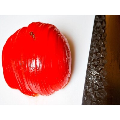 感動の切れ味　V10スペシャル三徳包丁170mm