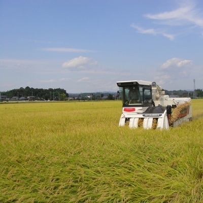 黄門米特別栽培米コシヒカリ白米5kg×1袋