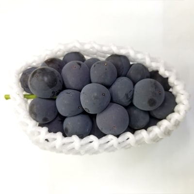 【先行受付】種なし巨峰(または種なしピオーネ)約2kg(3～4房)