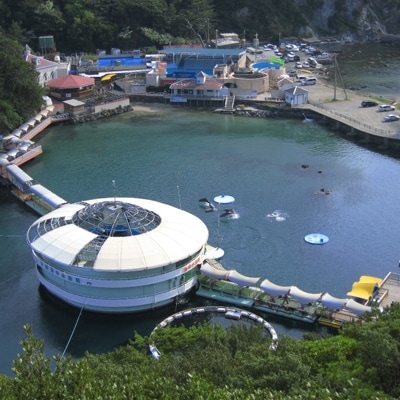 下田海中水族館ペア入場券