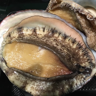 八幡浜発!竹中水産の「アワビ三昧、中サイズ」600g(鯛もしくはアジとセット)【H22-213】