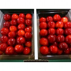 尾花沢産さくらんぼ佐藤錦　化粧づめ | ふるさと納税のお礼品