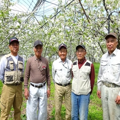 尾花沢産さくらんぼ佐藤錦 化粧づめ