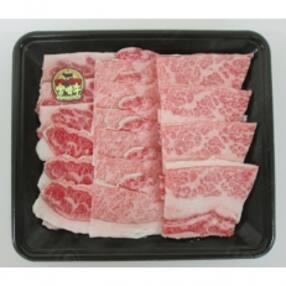 宮崎県日向市のお礼品 返礼品一覧 地域 ふるさと納税サイト さとふる