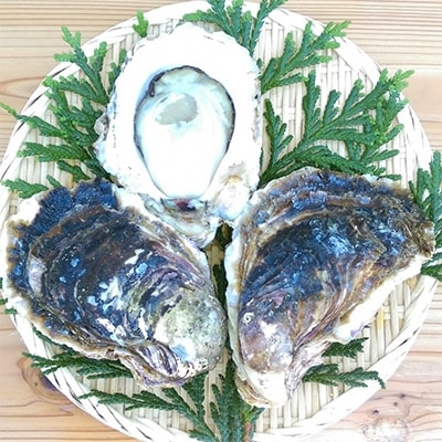 能登岩かき1.5kg(3～5個)