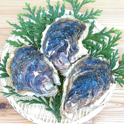 能登岩かき1.5kg(3～5個)