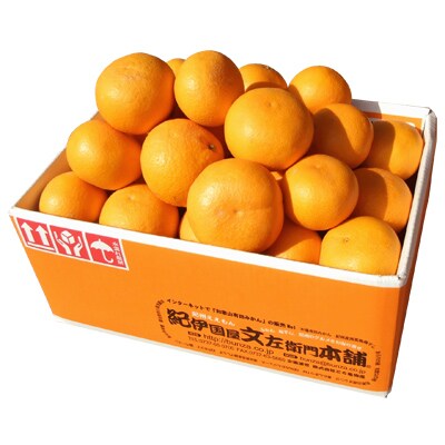 清見オレンジ[約8kg]和歌山県有田産春みかん(果実サイズおまかせ)