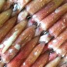 【冷凍便】八幡浜発!「白イカ(剣先イカ)」ドカーンと2kg!【F22-210】