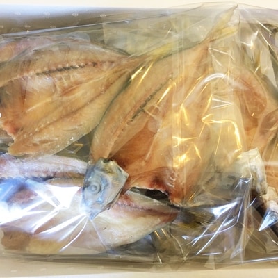 竹中水産の「匠の天日干し(宇和海産天然アジ)」10～15匹(1.5キロ保証)【D22-216】