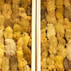 八幡浜発!竹中水産の「宇和海産お手軽生ウニ」3～4枚セット!【E22-219】