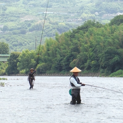 鮎遊漁券 (年券)
