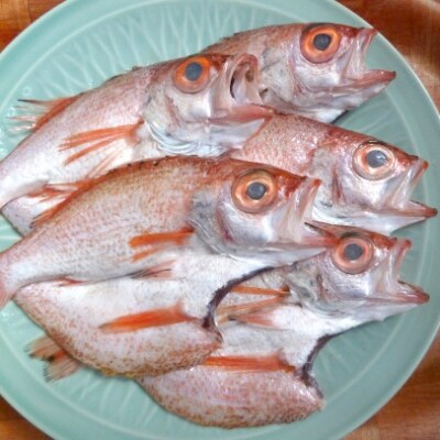 島根特産・海と山の幸のコラボ!驚きの美味さ《のどぐろ塩糀漬け》