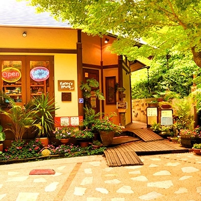 伊豆高原ケニーズハウスの白いカレー(レトルト200g×12食)