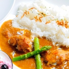 伊豆高原ケニーズハウスのチキンカレー(レトルト230g&times;10食)