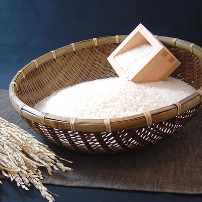 【令和4年産】長野県産風さやか 5kg×3袋