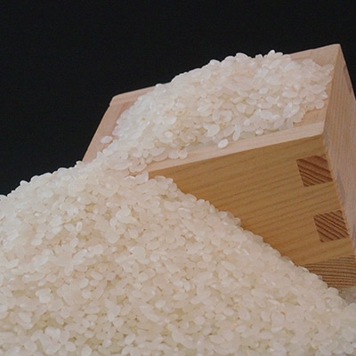 【令和4年産】長野県産風さやか 5kg×3袋