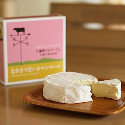 十勝野フロマージュ　チーズセット(6種) B[C2-1]