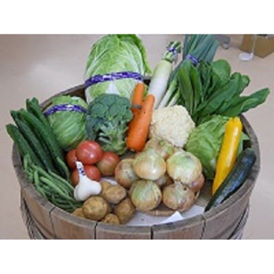 強梨産たまねぎ入り野菜詰め合わせセット