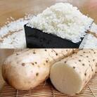 【五戸町特産セット】令和6年産　精米まっしぐら10kgと長芋3kgのセット