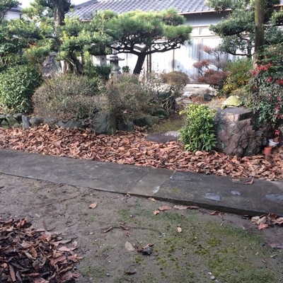 庭のお手入れに困っていませんか。草刈り、清掃等を代行します(1時間分・約20平方m前後)