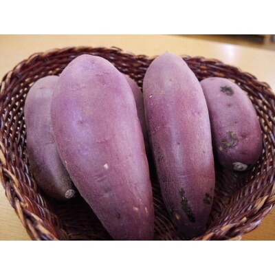 南阿蘇のさつまいも5kg