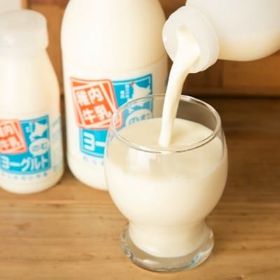 稚内牛乳 のむヨーグルト 詰め合わせ (500g×2本、150g×12本)