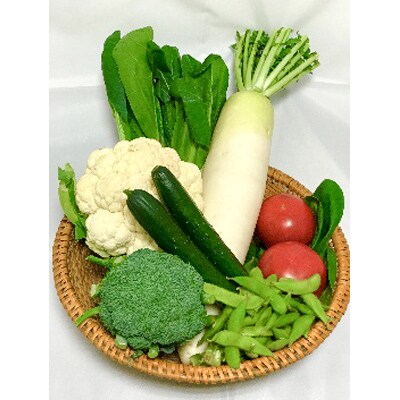 昭和村のお米・野菜便