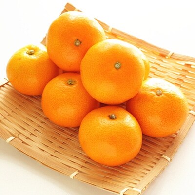 厳選!濃厚有田みかん　5kg【サイズ混合】【※2020年11月下旬頃より順次発送】