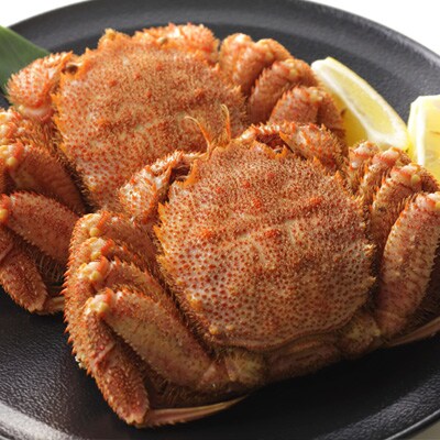 新物 【噴火湾産】産地直送 冷凍浜茹で毛ガニ(約400g前後～約450g前後)&times;2杯