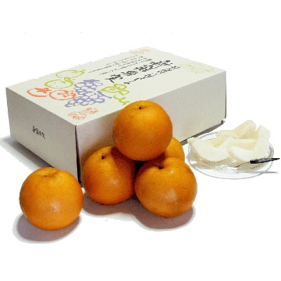 朝倉・旬の梨　約6kg(化粧箱入)　林農園