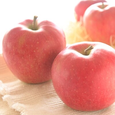 2023年10月より発送!甘さ抜群!香り良し!サクっと食感信州シナノスイート約5キロ