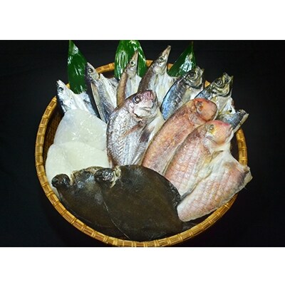 無添加・天日干しピチピチ朝獲れ鮮魚の一夜干し13枚セット【G26-4】