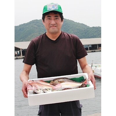 無添加・天日干しピチピチ朝獲れ鮮魚の一夜干し13枚セット【G26-4】