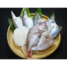 無添加・天日干し　ピチピチ朝獲れ鮮魚の天日干し　6枚【C26-7】