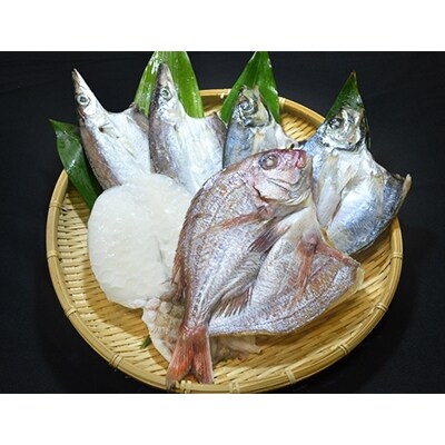 無添加・天日干し ピチピチ朝獲れ鮮魚の天日干し 6枚【C26-7】