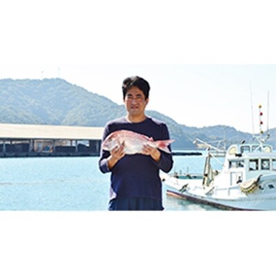 【2019年8月発送】愛媛八幡浜産 天然真鯛を食べつくす鯛めしセット【C26-2】
