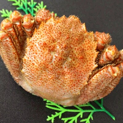 冷凍ボイル毛蟹700g