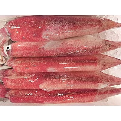 厳選冷特大真イカの開き(5本入)