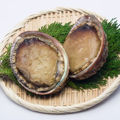 千葉県 アワビ