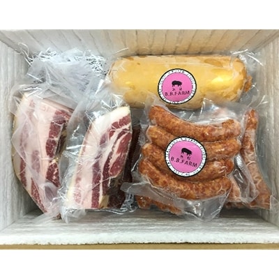 氷見 放牧 自然豚 加工品セットD